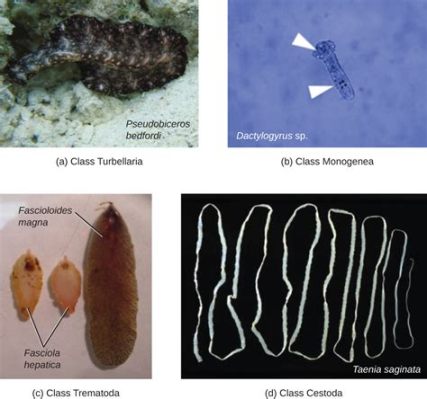  Giant Intestinal Fluke: A Parasite With an Appetite for Discomfort!  