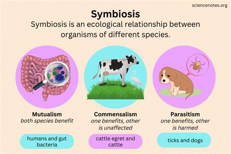 Ischyosporidium: An Intriguing Mastigophora Parasite Known for Its Unique Symbiotic Relationship with Other Organisms!