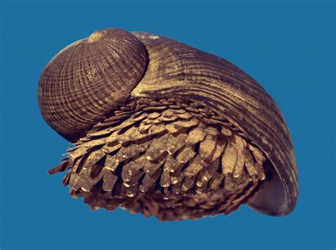  Scaly-Foot Gastropod: Unveiling the Mysteries Behind Its Armored Appearance!